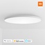 Mi Smart LED Ceiling Light (450mm) (BHR4118GL)